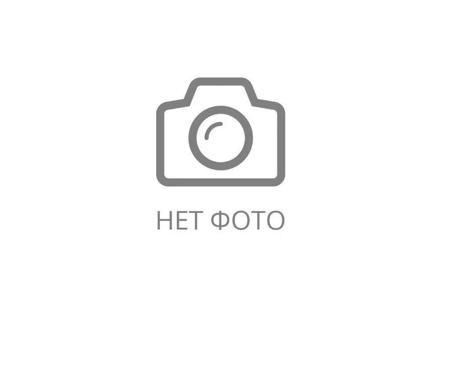 Денситометр с ручным зондом ДЦ- 5003